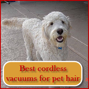 Best Cordless Vacuum for Pet Hair